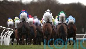 BHA welcomes new gambling white paper