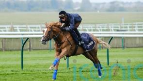 Slipofthepen still in Guineas frame following Newmarket workout