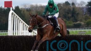 El Fabiolo strolls to victory to follow up Arkle success