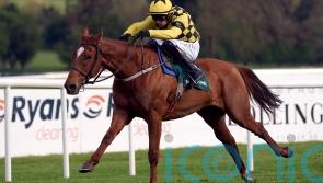 State Man in cruise control without Constitution Hill