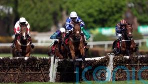 Select performance sees Knappers Hill on top