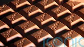 'An isolated incident' - Cadbury desserts recalled over listeria contamination fears