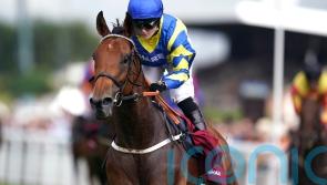 Trueshan back at Ascot with something to prove