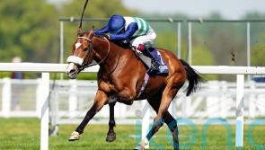 Coltrane stakes Gold Cup claim with Sagaro success