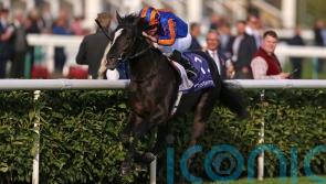 O&rsquo;Brien dreaming of Triple Crown bid with Auguste Rodin