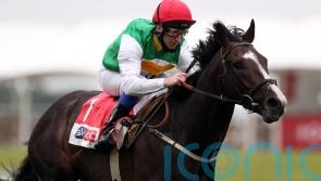 Pyledriver preparing for Hardwicke return at Royal Ascot