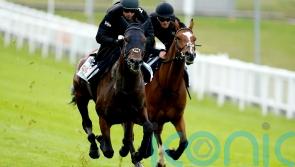 Crisfords hoping West can be best at Newmarket