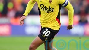 Brighton secure signing of Brazilian forward Joao Pedro from Watford