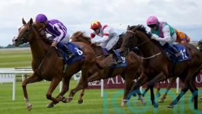 Proud And Regal out to book Derby ticket