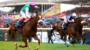 Royal lives up to Hi hopes with Classic second