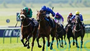 &lsquo;She has run a wonderful race&rsquo; &ndash; Weld so proud of Tahiyra in defeat