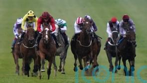 Waipiro could try again to book Derby ticket at Lingfield