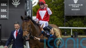 Ground key to Rogue Millennium&rsquo;s summer plans