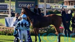 Modesty set for low-key return at Newmarket