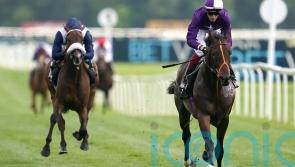 Hannon anticipating retirement for recovering Mojo Star