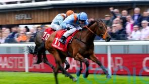 Ziggy&rsquo;s Phoenix rises to Chester challenge for Middleham one-two