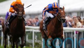 San Antonio holds of Alder in Dee Stakes battle of the O&rsquo;Briens