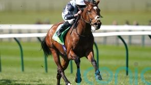 Passenger added to Dante field