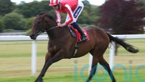 Rocket Rodney shoots for glory in Westow Stakes