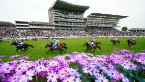 Cuban Thunder is electric in Knavesmire maiden