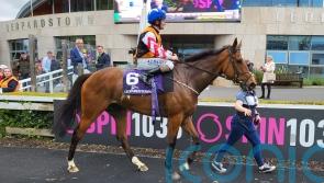 Yashin upsets Emily Dickinson and company in Saval Beg