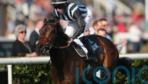 Chindit to get a second bite at Lockinge hero Modern Games