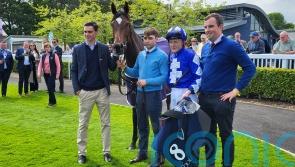 Albany plans for Naas scorer Porta Fortuna