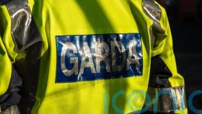 Tributes paid to woman who died after being hit by police car