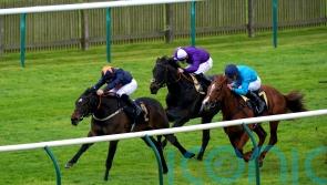 Blue Storm rolls in for National Stakes assignment