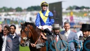 Expectations high as Desert Crown hits the comeback trail