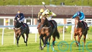 Elite Status proves well-named National Stakes winner