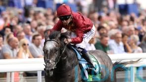 Roaring Lion legacy on display at Epsom