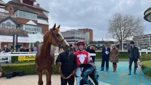 Araminta team to ponder options following Goodwood win