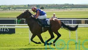 Paddington bears fruit in Irish Guineas
