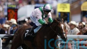 Tests for Royal Scotsman after Guineas disappointment