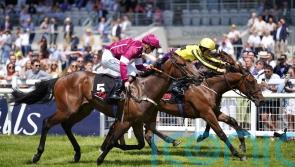 Noche Magica on Norfolk Stakes trail