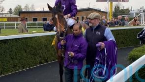 Olivia Maralda and Magical Sunset primed for Surrey challenge