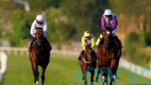 Artistic Star takes step into &lsquo;unknown territory&rsquo; with Derby tilt