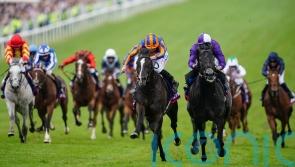 Murphy eyeing Irish Derby date for White Birch