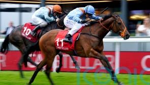 Ziggy&rsquo;s Phoenix seeking to rise to Hilary Needler challenge