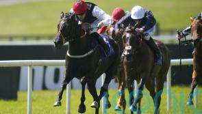 Royal Ascot not on the agenda for Just Beautiful