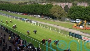 &lsquo;Systems and administrative error&rsquo; sees four runners taken out of Brighton race