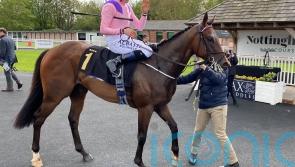 Thunderbear ready to roll at Ascot
