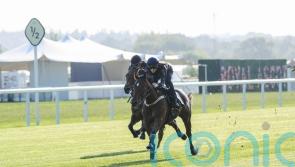 Australian speedsters enjoy a taste of Ascot in the sunshine