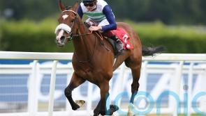 Coltrane remains on course for Gold Cup challenge