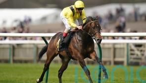 Tajalla seeking to take next step up the sprinting ladder