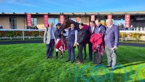 O&rsquo;Brien expecting Gold Cup trip to bring out best of Emily Dickinson