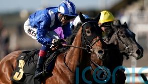 Jersey Stakes consideration for smart prospect Enfjaar