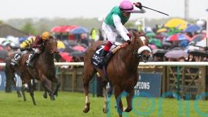 Balding staying cool under pressure, as big week looms large