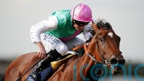 Nostrum pencilled in for Newmarket comeback run